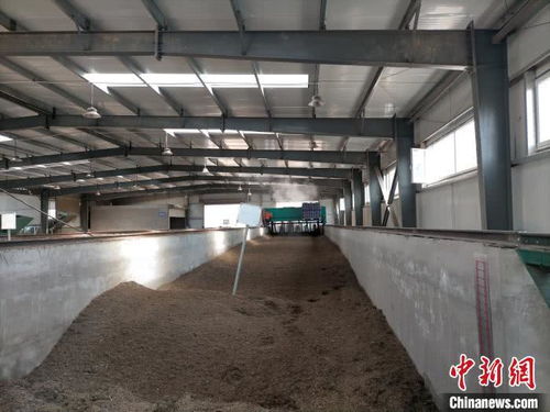 山西太原 園林垃圾資源化再利用，綠廢“變身”科創產品